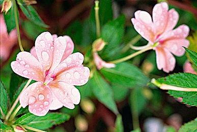 赛睿Bungie联合推出《命运2:光陨之秋》特别联名产品，打造沉浸式游戏体验